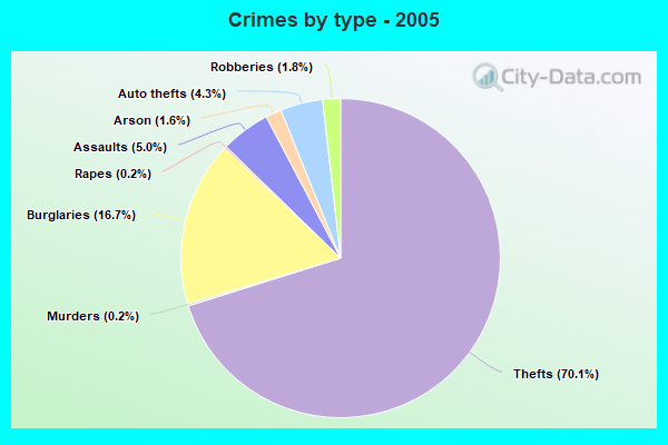 Crimes by type - 2005