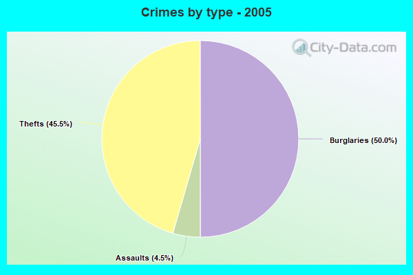 Crimes by type - 2005