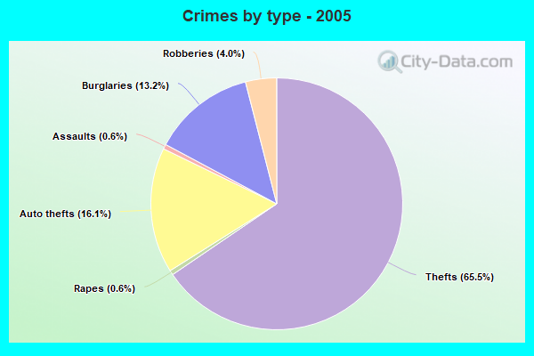 Crimes by type - 2005