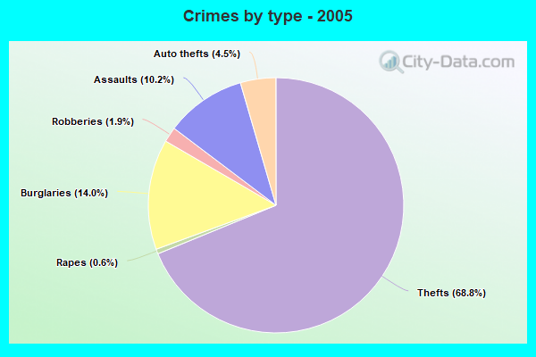 Crimes by type - 2005