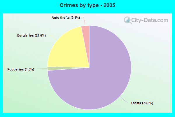 Crimes by type - 2005