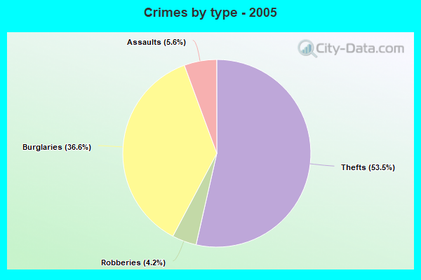 Crimes by type - 2005