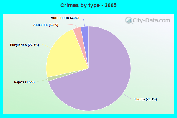 Crimes by type - 2005