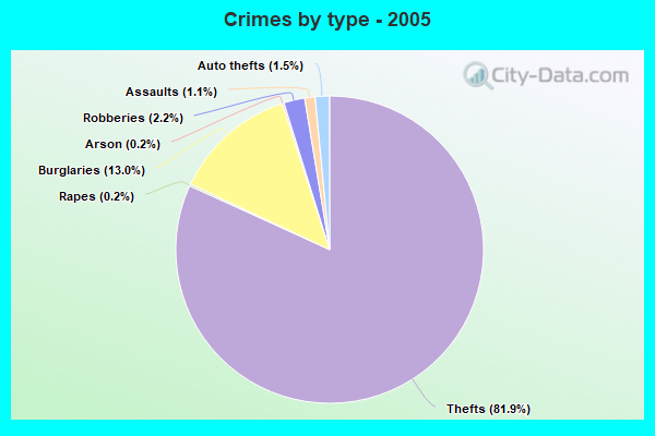 Crimes by type - 2005