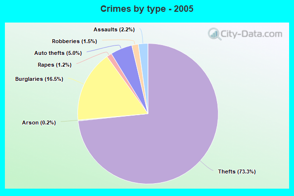 Crimes by type - 2005