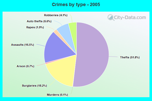 Crimes by type - 2005