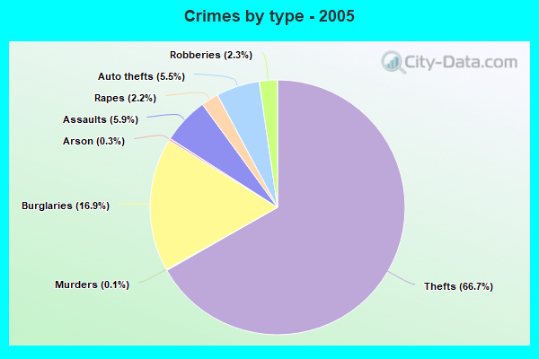 Crimes by type - 2005