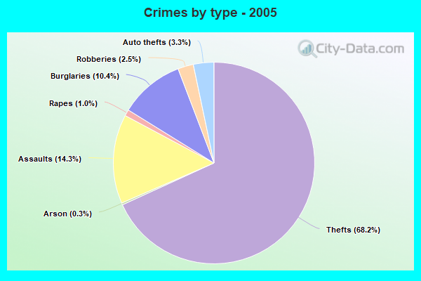 Crimes by type - 2005