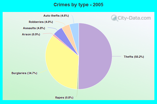 Crimes by type - 2005