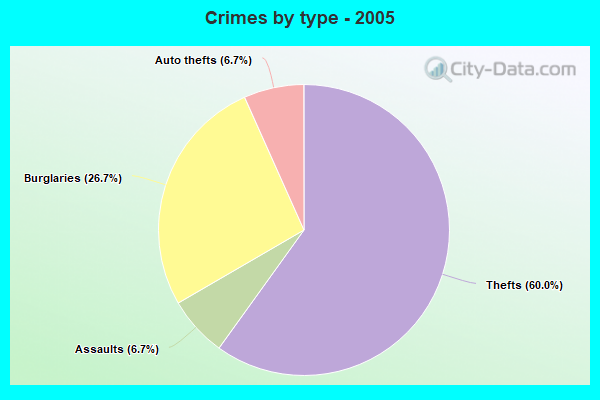 Crimes by type - 2005