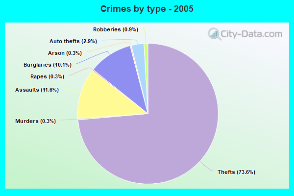 Crimes by type - 2005