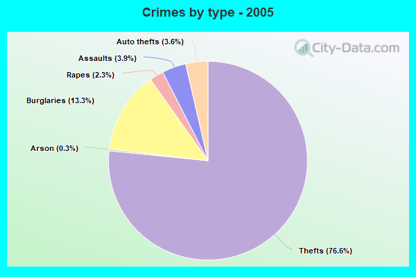 Crimes by type - 2005