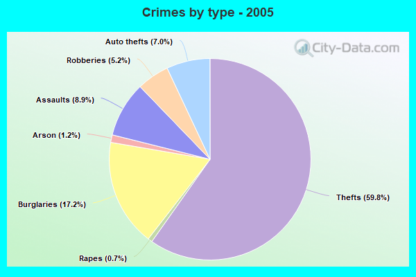 Crimes by type - 2005