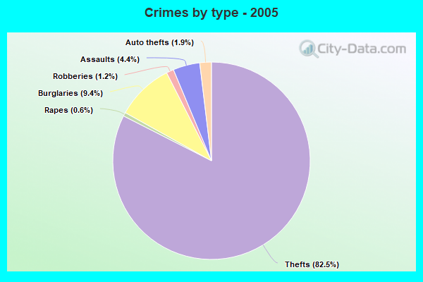 Crimes by type - 2005