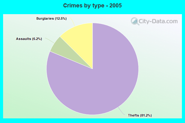 Crimes by type - 2005