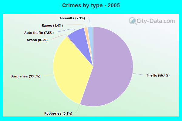 Crimes by type - 2005