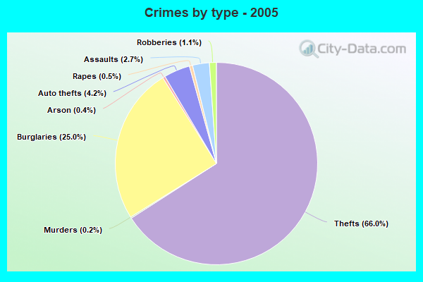 Crimes by type - 2005