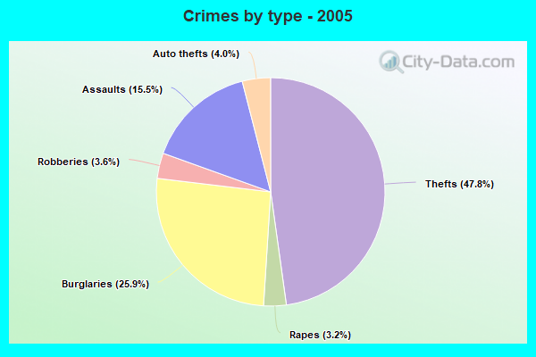 Crimes by type - 2005