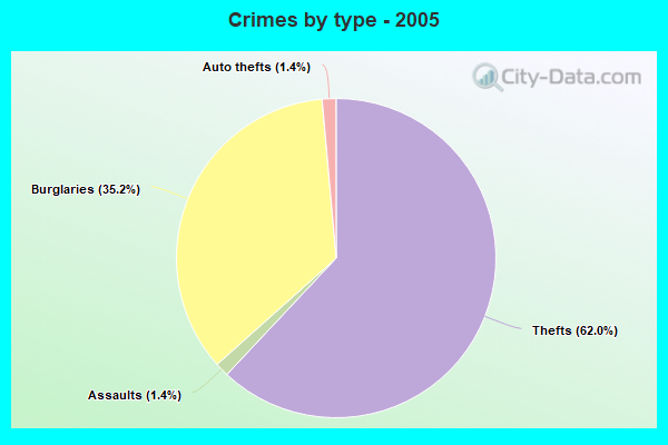 Crimes by type - 2005