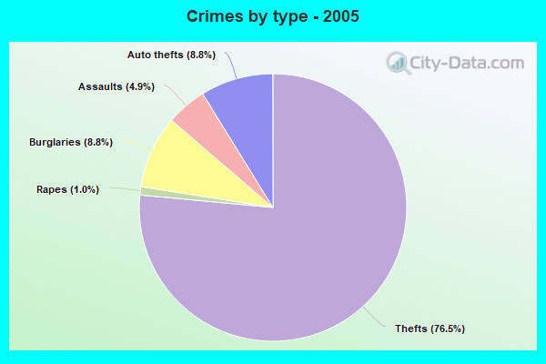 Crimes by type - 2005