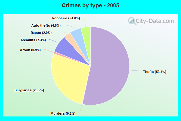 Crimes by type - 2005