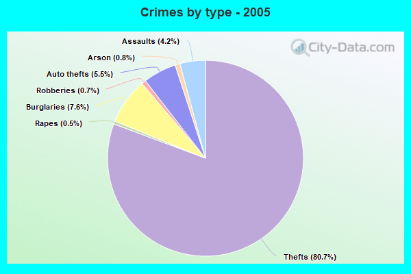 Crimes by type - 2005