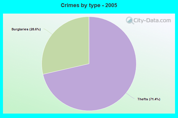 Crimes by type - 2005