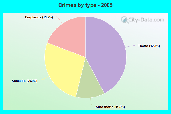 Crimes by type - 2005