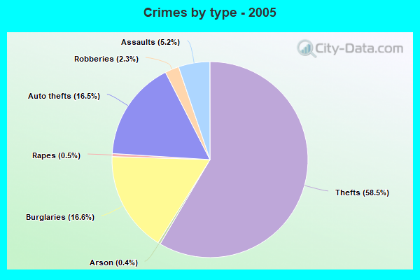 Crimes by type - 2005