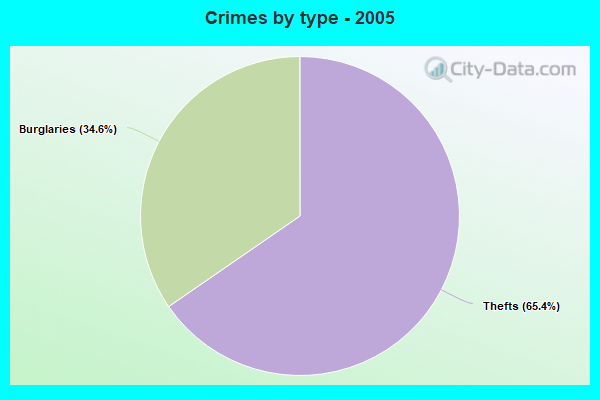 Crimes by type - 2005