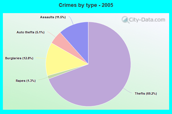 Crimes by type - 2005