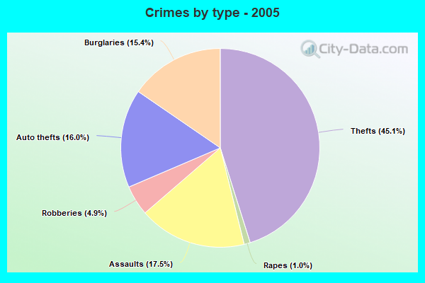 Crimes by type - 2005