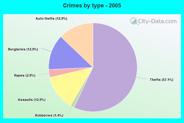 Crimes by type - 2005