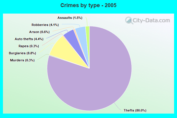 Crimes by type - 2005