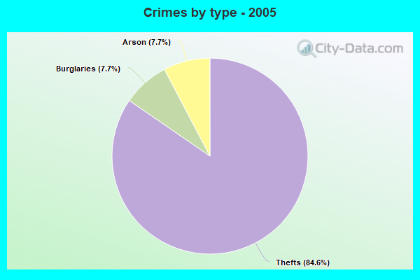 Crimes by type - 2005