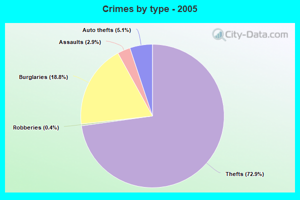 Crimes by type - 2005