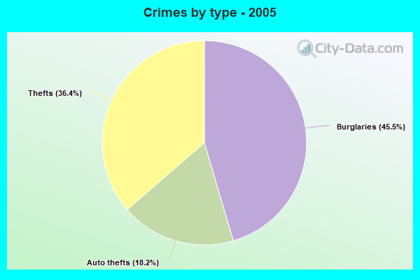 Crimes by type - 2005