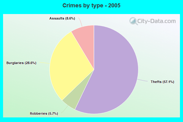 Crimes by type - 2005