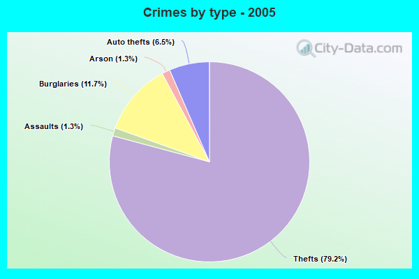 Crimes by type - 2005