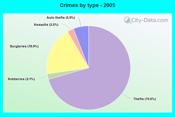 Crimes by type - 2005