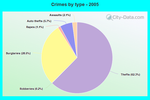 Crimes by type - 2005