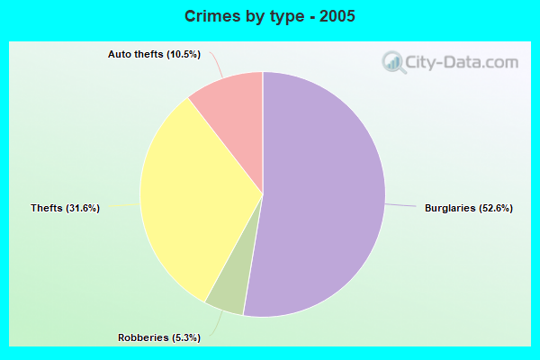 Crimes by type - 2005