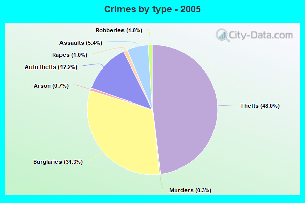 Crimes by type - 2005