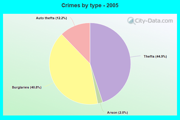 Crimes by type - 2005