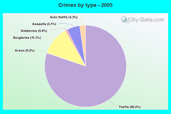 Crimes by type - 2005