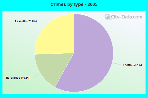 Crimes by type - 2005