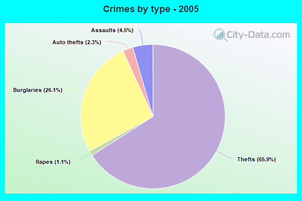 Crimes by type - 2005