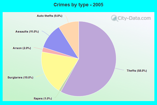 Crimes by type - 2005