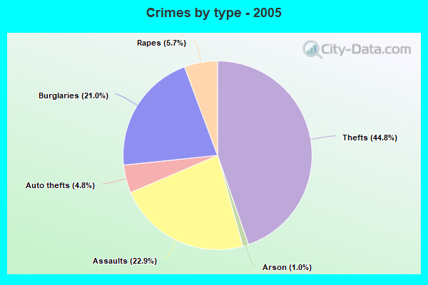 Crimes by type - 2005