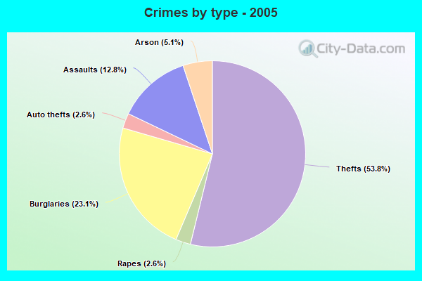 Crimes by type - 2005